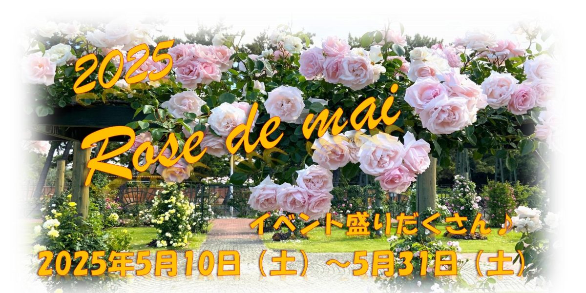 【浜寺公園】春バラを大満喫できるイベント「2025　Rose de mai」が5月31日（土）まで開催中！